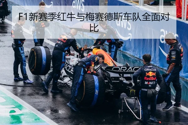 img_1788502657419_386_1_684.jpg